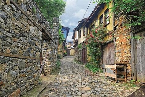 Bursa cumalıkızık köyü satılık arsa