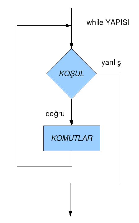 C programlama while