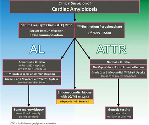 Cardiac Amyloidosis Treatment