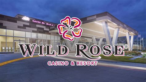 Care for rose casino