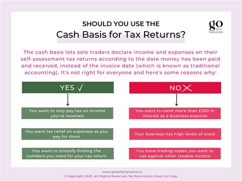 Cash Basis Tax Return