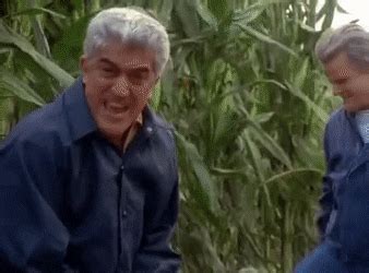 Casino Cornfield Scene Gif