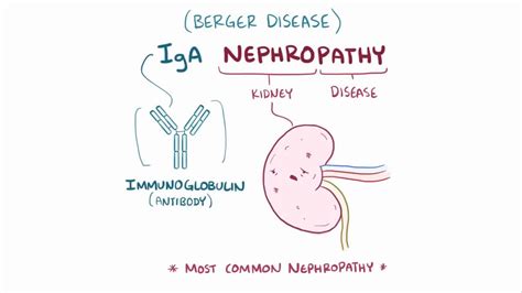 Causes Of Iga Nephropathy