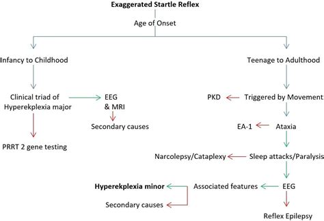 Causes Of Startle Response
