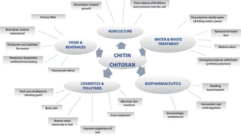 Chitin Medical Uses