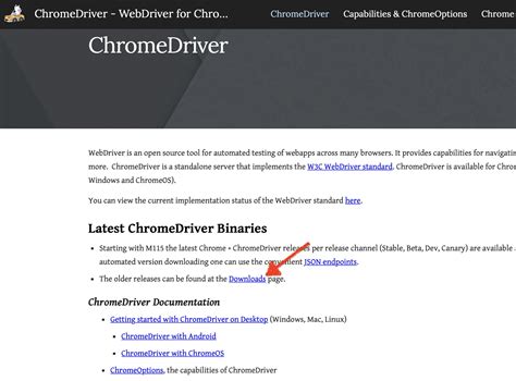 Chromedriver 233 download