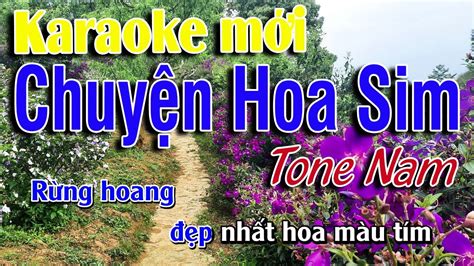 Chuyện Hoa Sim Karaoke