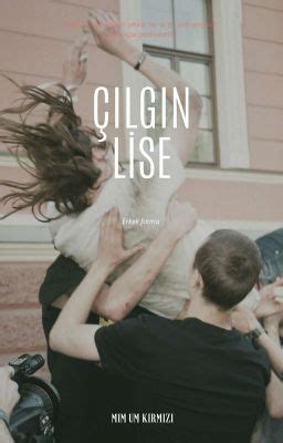 Cilgin lise