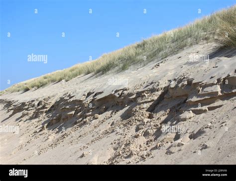 Coastal Sand Dunes Examples