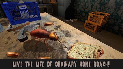 Cockroach Simulator Game