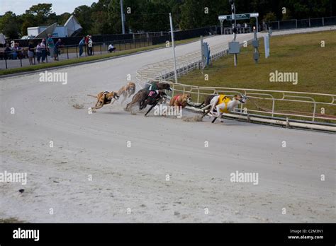 Daytona Dog Track And Poker Room