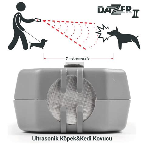 Dazer köpek savar