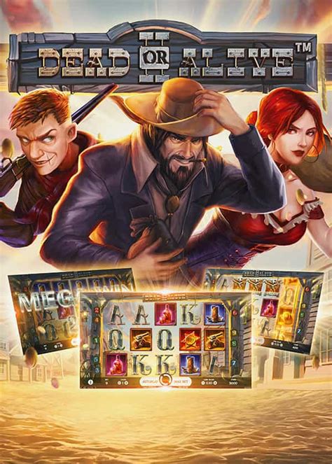 Dead or Alive 2 slot