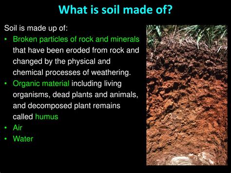 Definition Of Soil In Agriculture