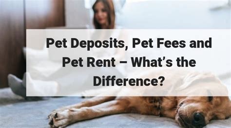 Deposit For Pets For Rental Property