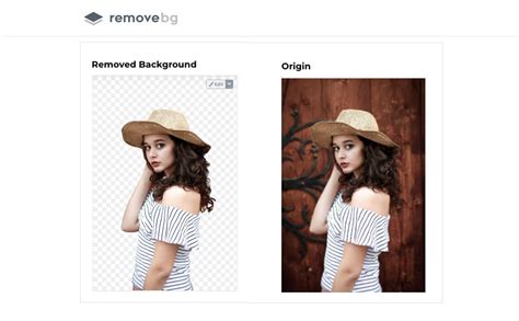 Depositphotos Background Remover