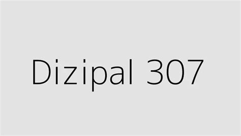 Dizipal307