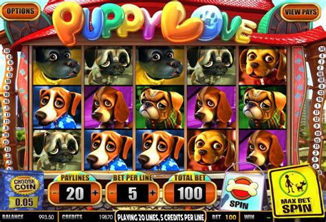 Dog Casino Game