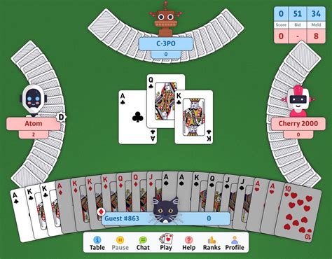 Double Deck Pinochle Card Game