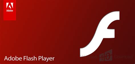 Download adobe flash player for win 10