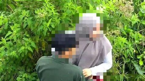 Download video mesum abg di kebun sawit