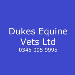 Dukes vets