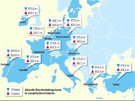 Durchschnittsgrößen europa