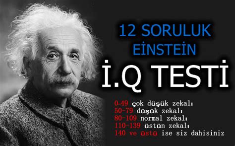 Einstein ıq testi sonucu