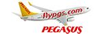 Eleman net pegasus