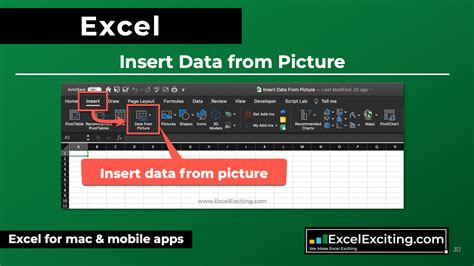 Excel Insert Data From Picture