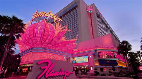 Flamingo Casino Las Vegas Nv