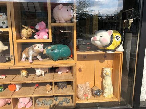Flying Pigs Thrifts Videos