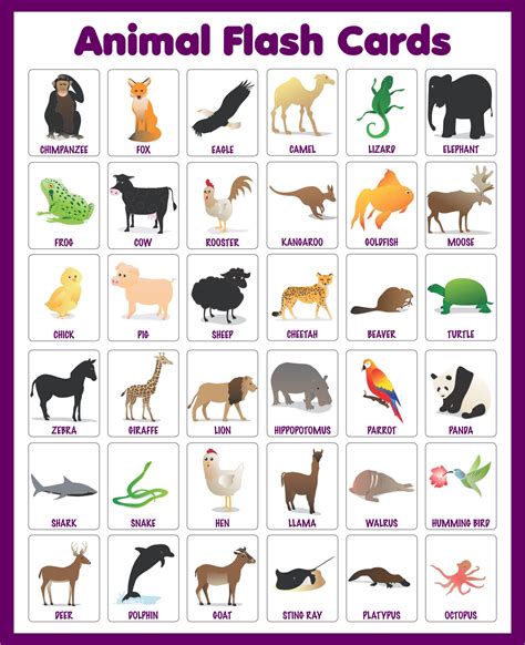Free Printable Animal Flashcards
