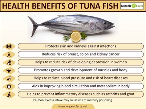 Fresh Tuna Benefits