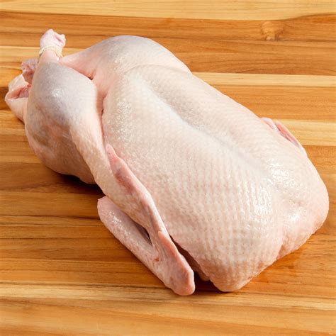 Fresh Whole Duck For Sale
