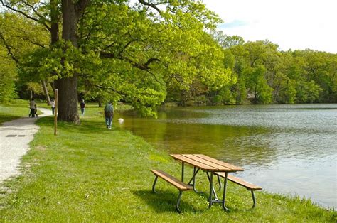 Göl kenarında piknik