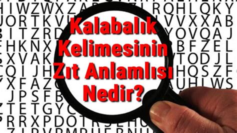 Gündüz kelimesinin zıt anlamlısı