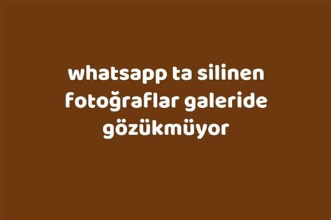 Galeri de fotoğraflar gözükmüyor