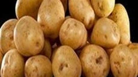 Gdo lu patates nasıl anlaşılır