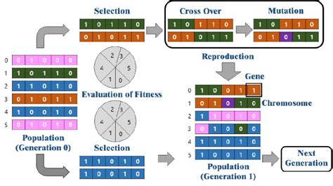 Genetic Algorithm Selection Methods