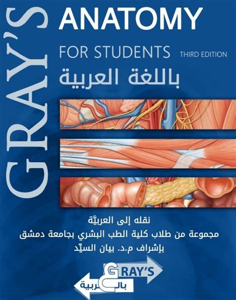 Gray anatomy مترجم 14 تحميل