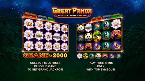 Great Panda: Hold and Win slot