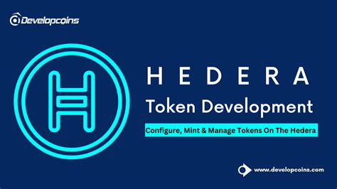 Hedera Hashgraph Explorer