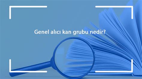 Herkesten kan alan grup