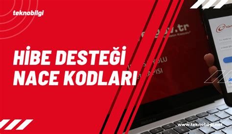 Hibe desteği nace kodu