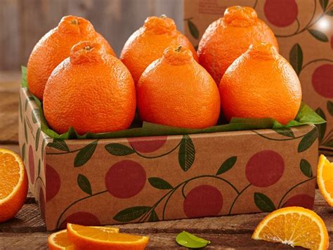 Honeybell Oranges Where To Buy