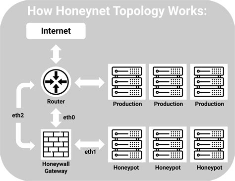 Honeytts rulet şəkilləri