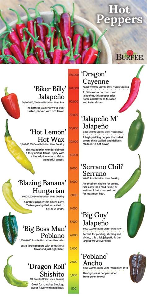Hot Pepper Identification Chart