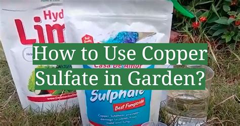 How To Apply Copper Sulfate
