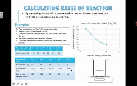 How To Calculate Mean Rate Of Reaction